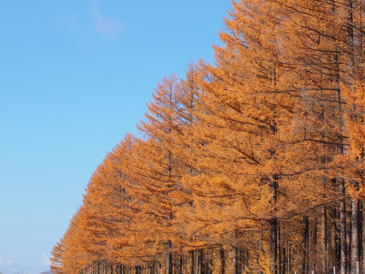 Log Hotel Larch Lake Kanayama Minamifurano Extérieur photo